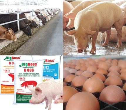 14c0e6eb0886f0d8a997