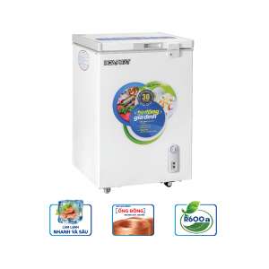 Hoa Phat one-compartment one-wing mini freezer HCF 106S1Đ