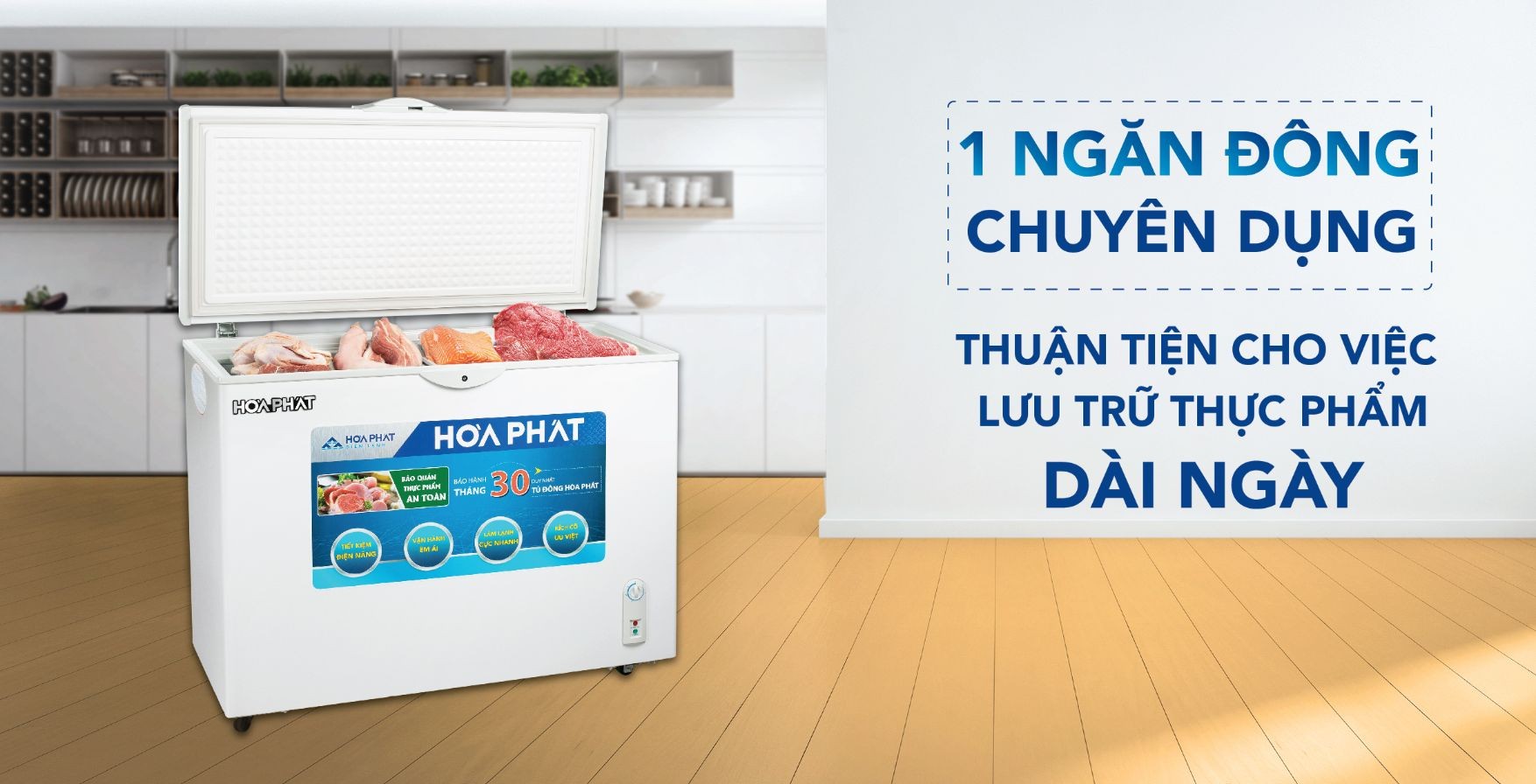 Tủ đông Hòa Phát 1 ngăn đông chuyên dụng