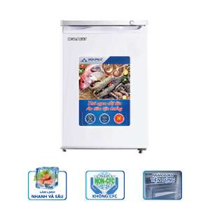 Hoa Phat Upright Freezer HUF 300SR1