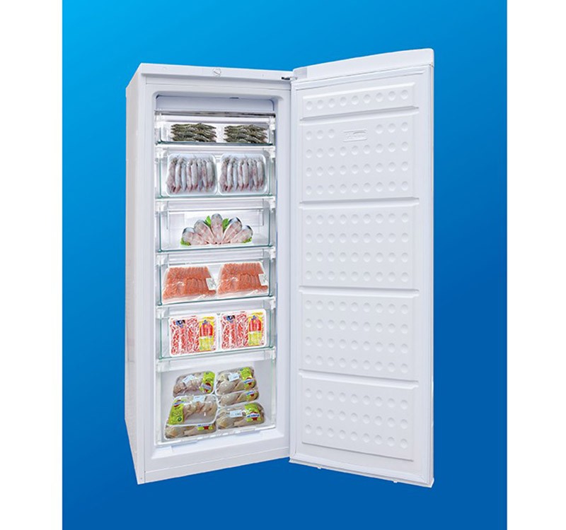 Tủ đông đứng Hòa Phát 6 ngăn