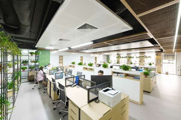 HÒA PHÁT FEEDS OFFICE