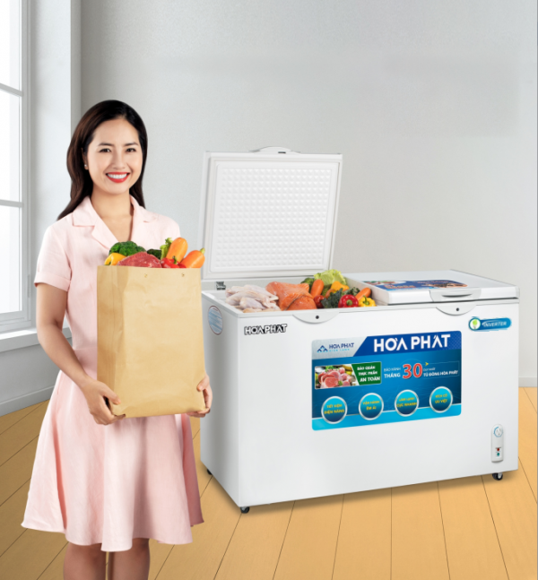 Hoa Phat Freezer – The perfect choice for food preservation