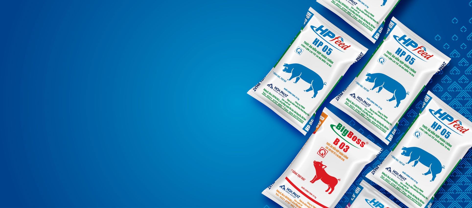 baner-slideweb