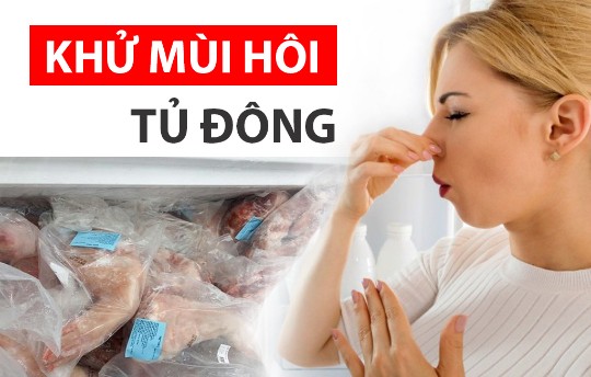 Khử mùi hôi tủ đông để thực phẩm được bảo quản tốt hơn, không ảnh hưởng đến sức khỏe người dùng