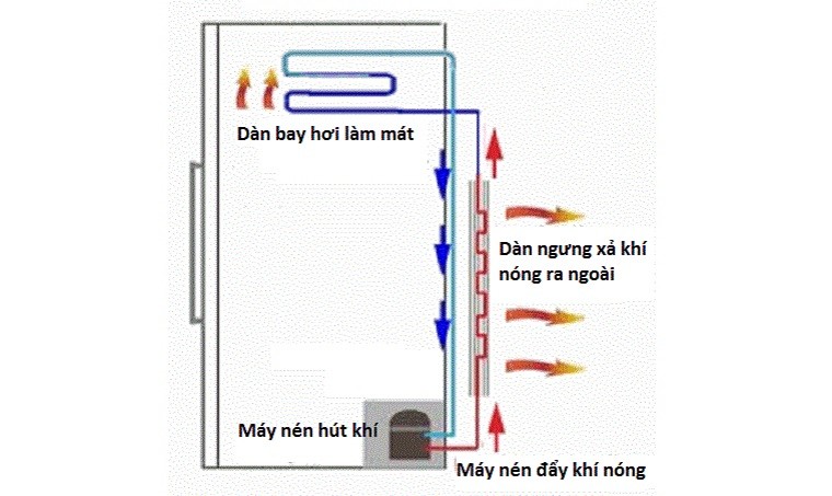 Dàn nóng đặt bên hông tủ làm 2 bên hông tủ tỏa nhiệt và nóng lên