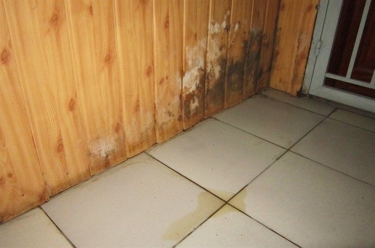 Đặt tủ đông tại nơi ẩm ướt sẽ dẫn đến tình trạng bị rò rỉ điện