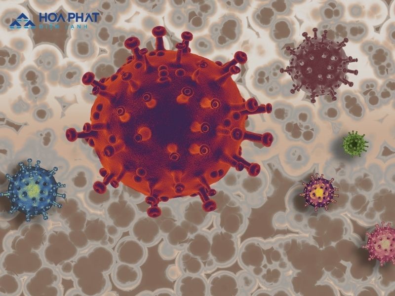 Bảo quản sữa mẹ bằng tủ đông chuyên dụng tránh nhiễm khuẩn chéo để đảm bảo nguồn sữa chất lượng nhất cho bé