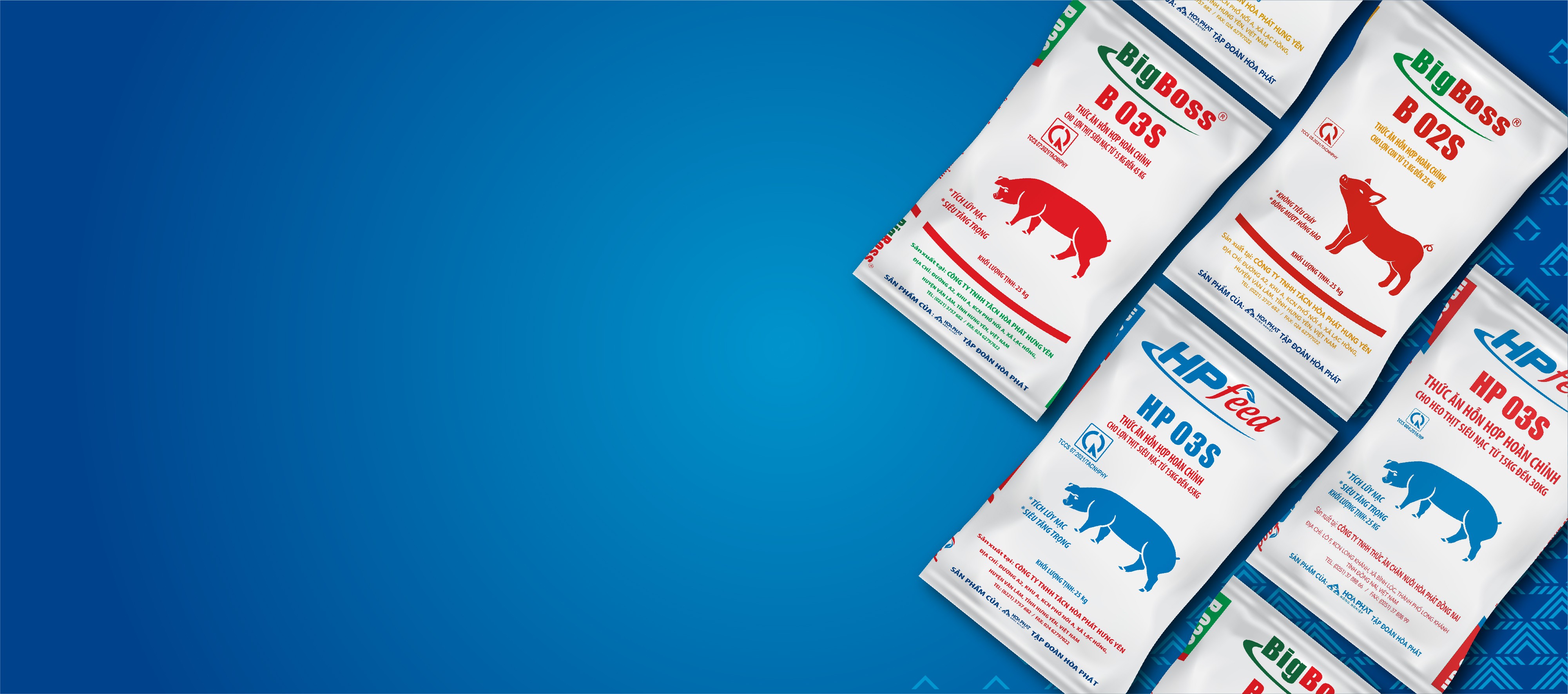 banner-tacn-01