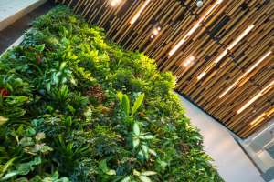 Emergence of "Green trend" in the furniture industry