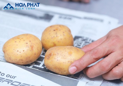Khoai tây tránh để trong tủ đông nhiệt độ thấp