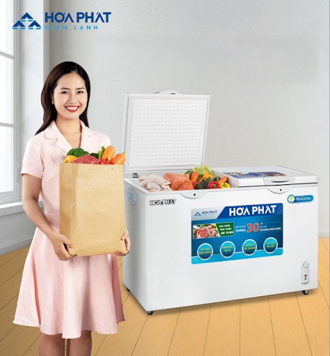 nên mua tủ đông loại nào 