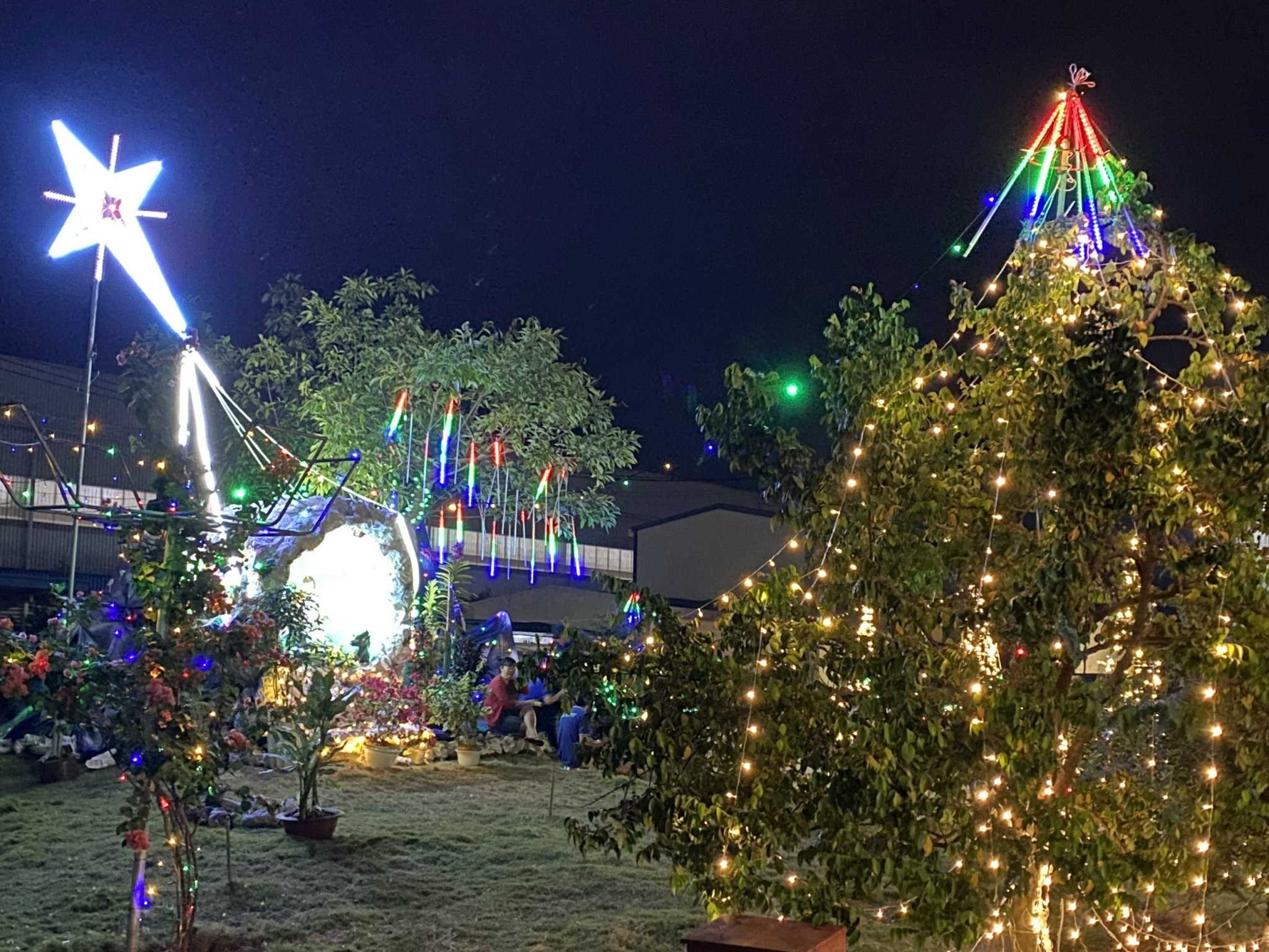 noel-2