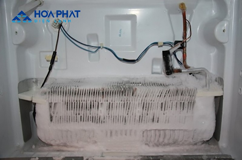 dan-lanh-bi-dong-tuyet