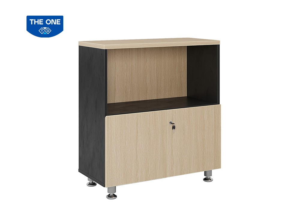 Tủ tài liệu Leader THE ONE LE880SD