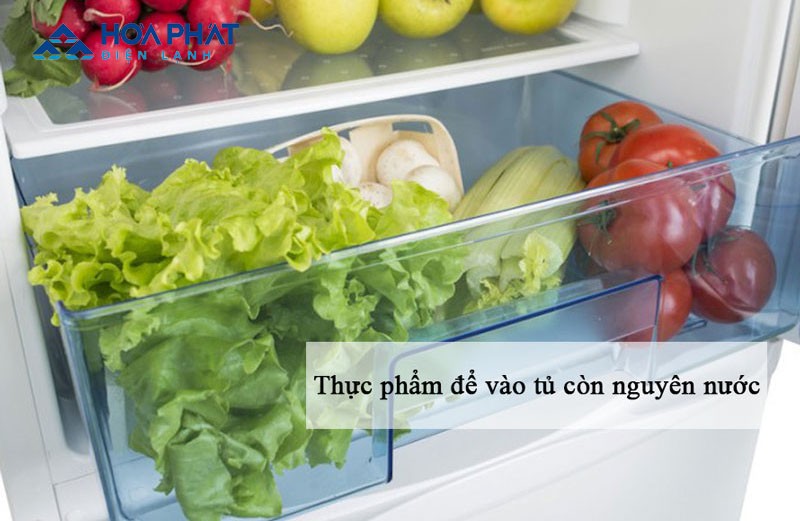 tủ lạnh bị chảy nước do thực phẩm
