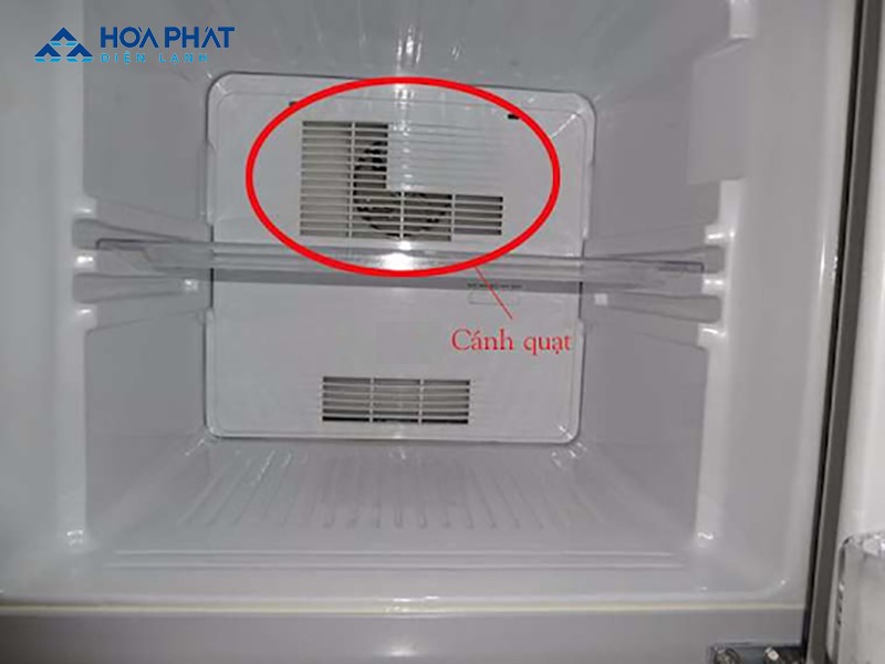 Quạt gió tủ lạnh bị kẹt khiến tủ lạnh kêu ù ù
