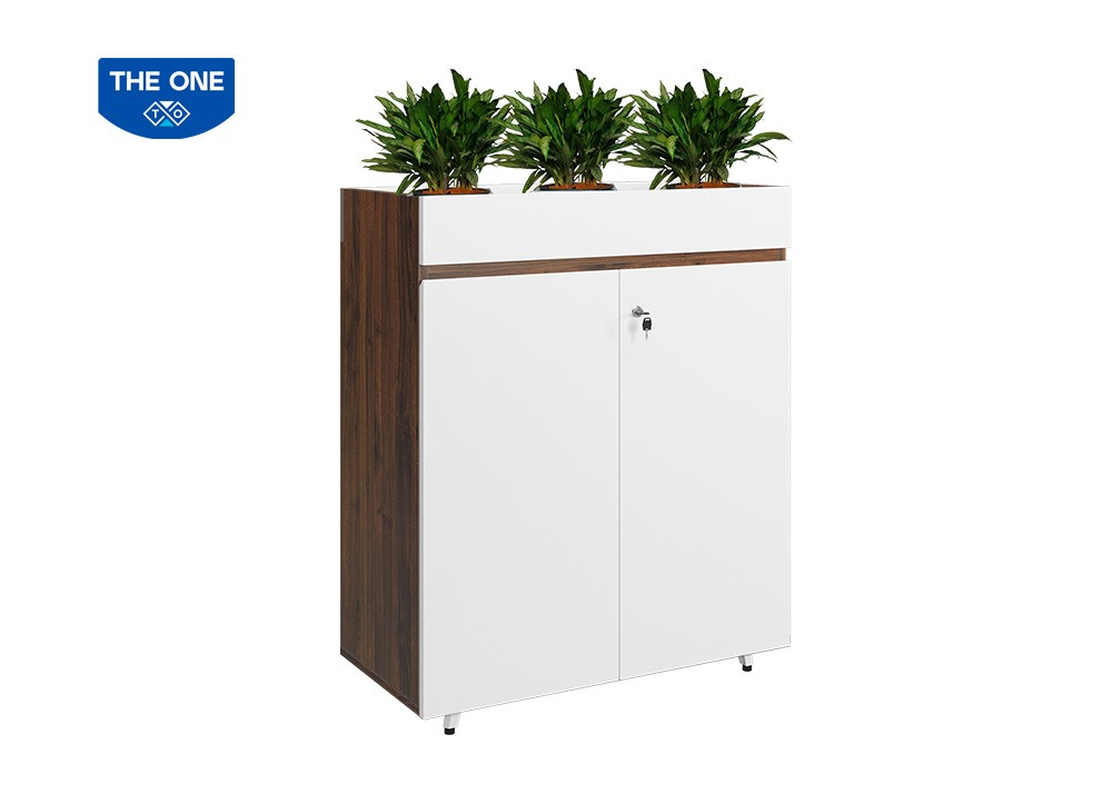 TỦ TÀI LIỆU LUXURY THE ONE LUX1000-2T2