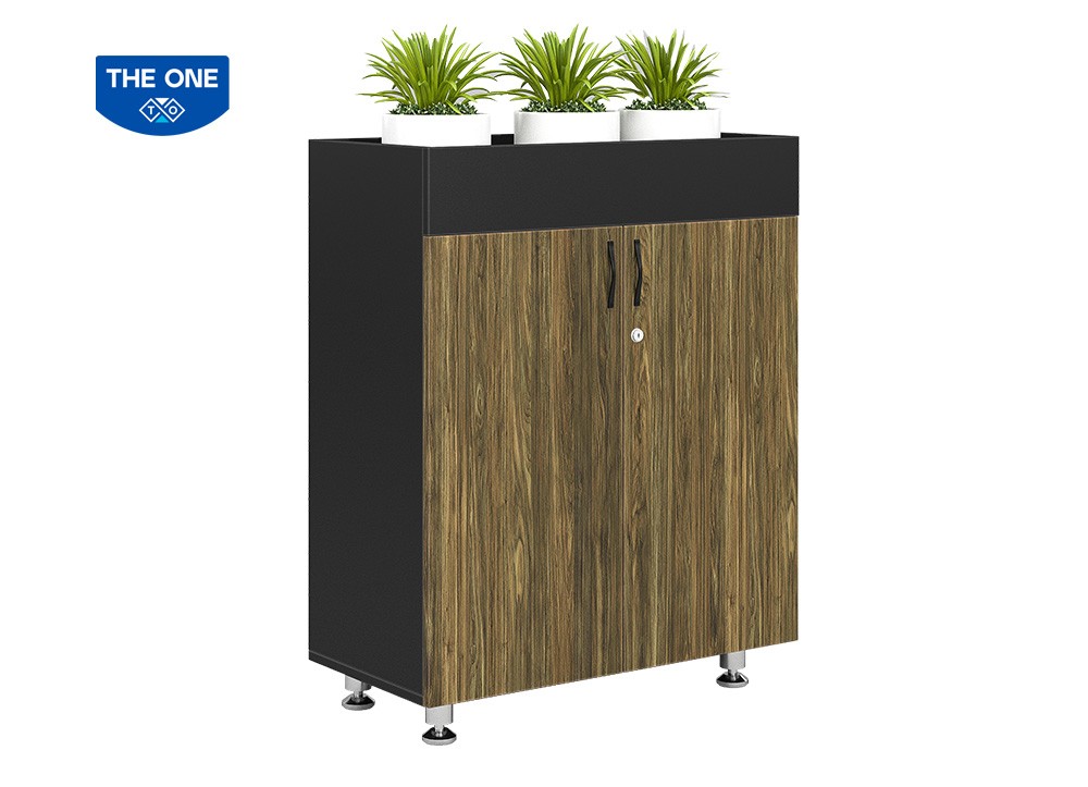 Tủ tài liệu Bright THE ONE BRI1000-2T2