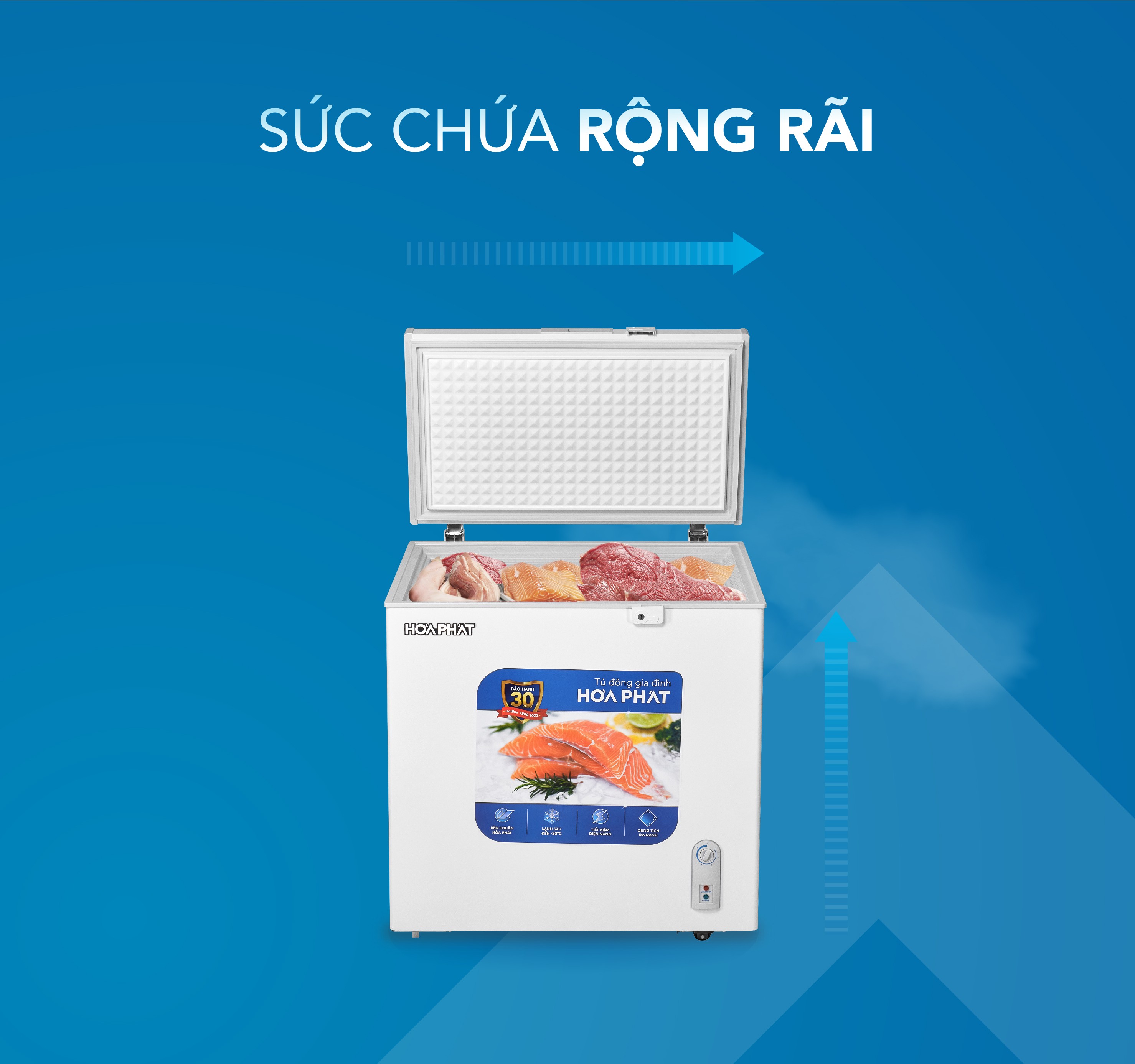 Tủ đông Hòa Phát HPF AN6162 162Lít