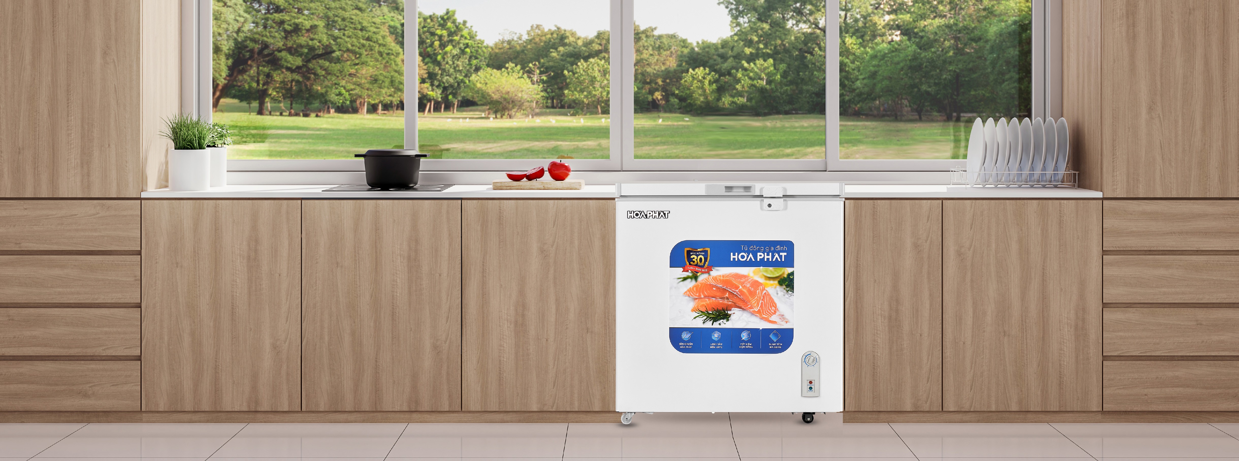 Tủ đông Hòa Phát HPF AN6162 162Lít