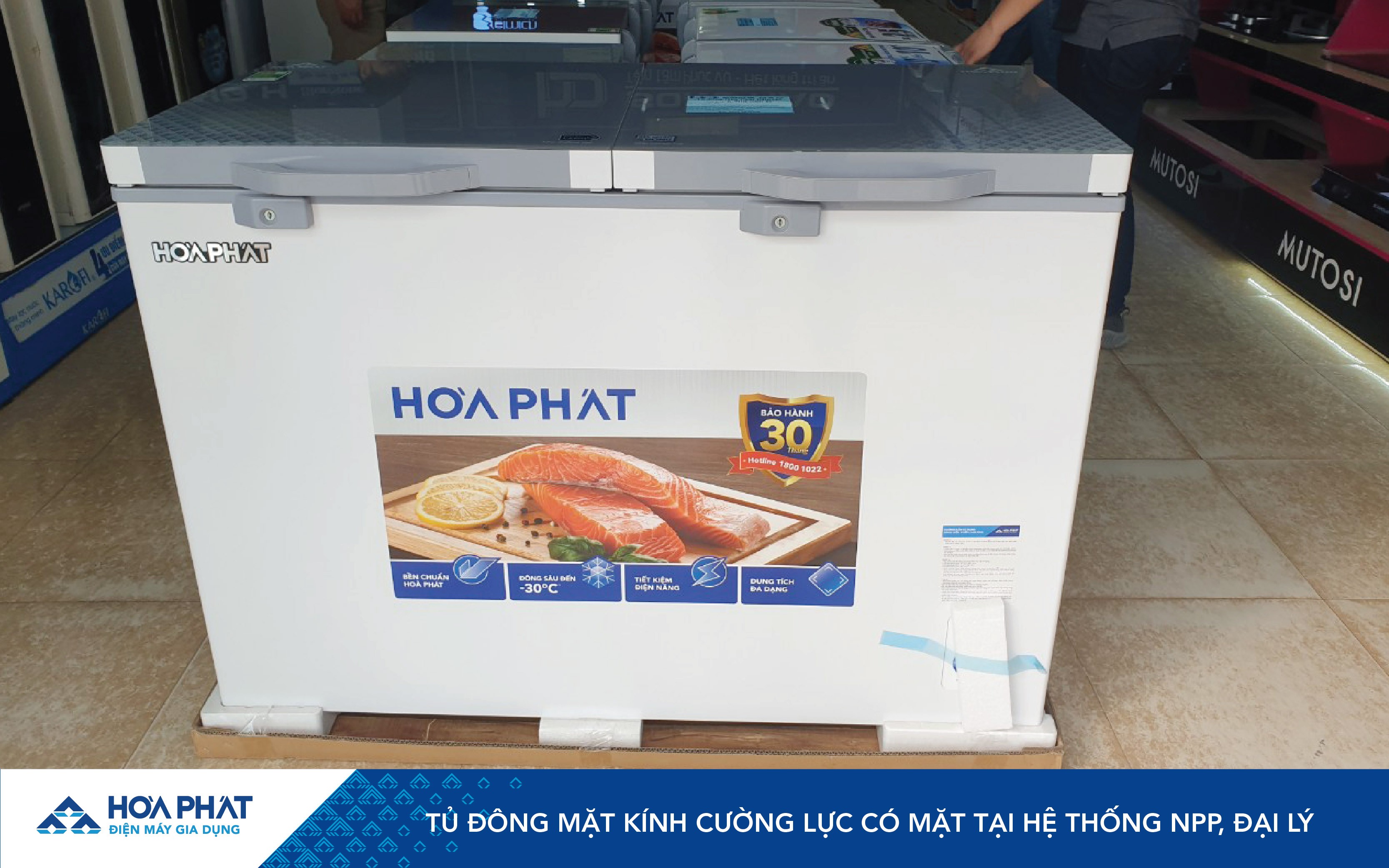 anh-web-td-cuong-luc-01