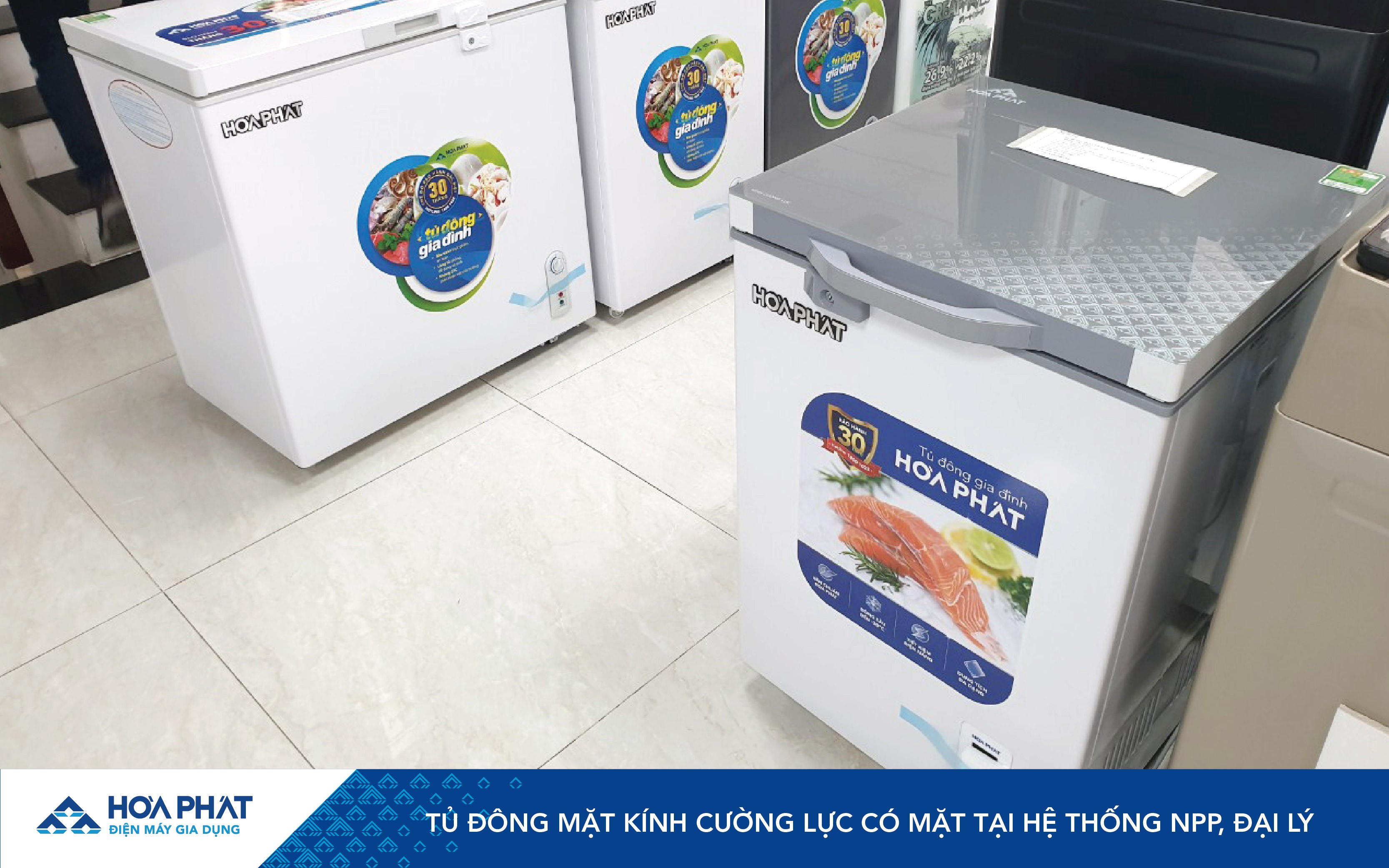 anh-web-td-cuong-luc-02