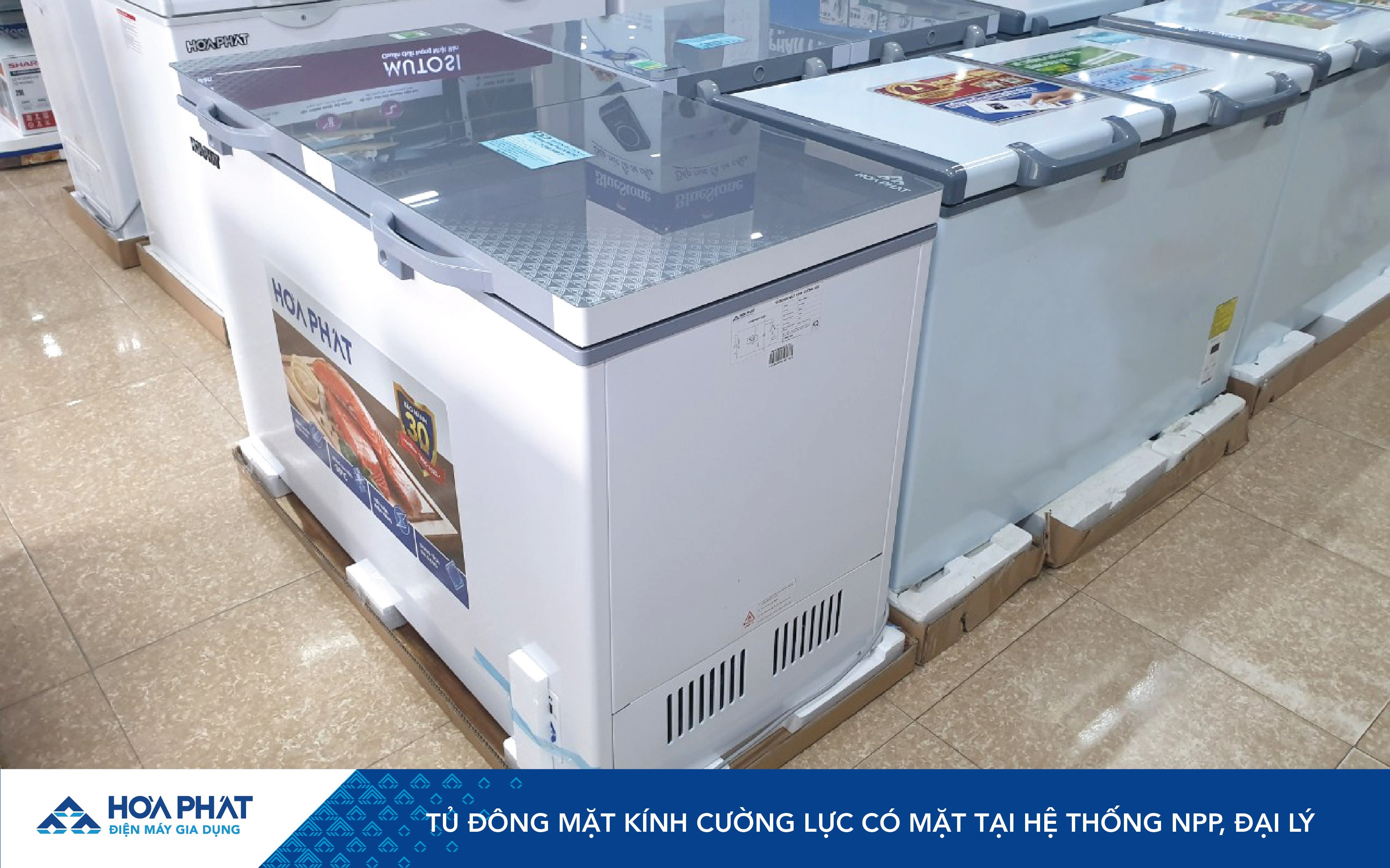 anh-web-td-cuong-luc-03