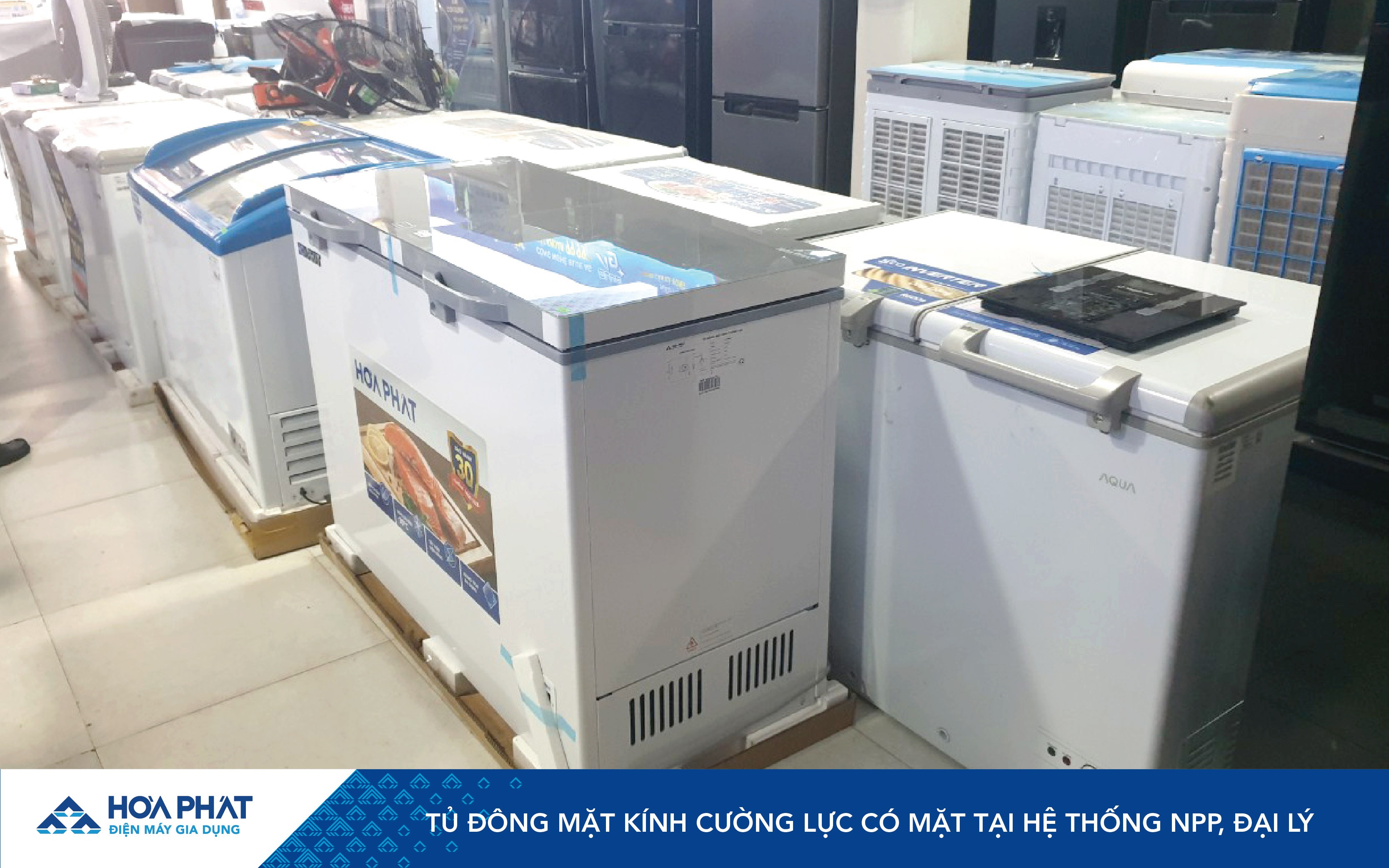 anh-web-td-cuong-luc-04