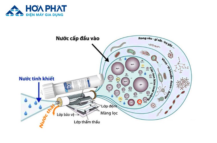 co-che-hoat-dong-cua-mang-loc-ro