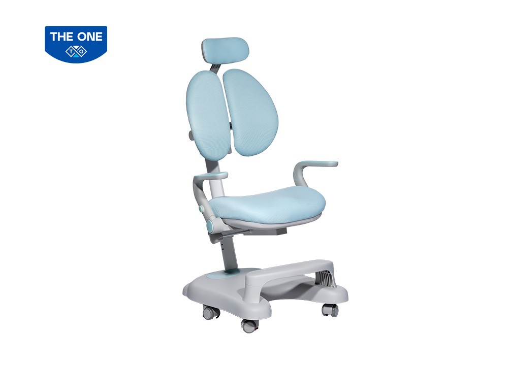 GHẾ HỌC SINH CHỐNG GÙ THE ONE 
GHS51