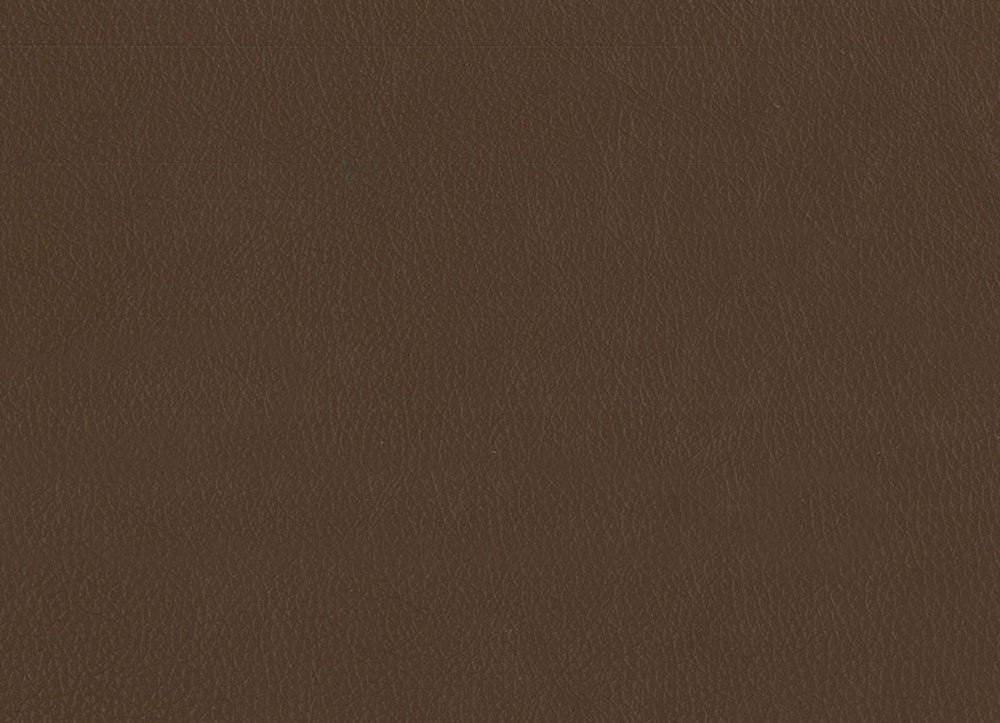 Mâu màu Da - DP THE ONE Mẫu màu Da - DP