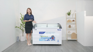 Tủ đông trưng bày kính cong Hòa Phát: