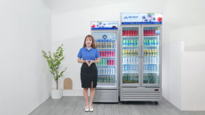 Tủ mát trưng bày Hòa Phát 280L HSR D6280 & 723L HSR D8723: Cặp đôi hoàn hảo