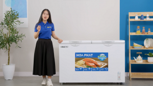 Tủ đông Hòa Phát 352 Lít HPF AD6352: "Tươi mát cả ngày dài"