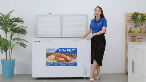 Tủ đông 245L Hòa Phát: "Đông sâu bền bỉ - Trữ đồ như ý"