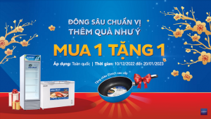 Tủ đông Hòa Phát: Đông sâu chuẩn vị - Thêm quà như ý