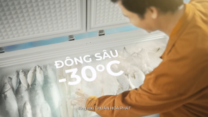 ❄️TRỮ ĐÔNG LÀ PHẢI CHUẨN - CHUẨN PHẢI LÀ TỦ ĐÔNG HOÀ PHÁT