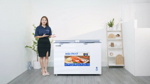 Tủ đông Hòa Phát: Các lỗi thường gặp khi sử dụng và cách khắc phục