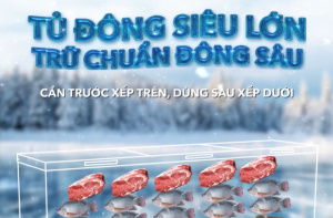 CẨM NANG TRỮ LỚN CHUẨN HOÀ PHÁT