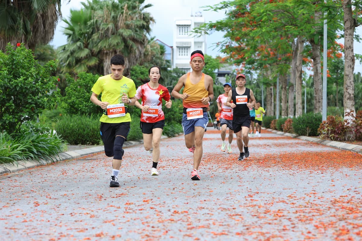 cham-chan-vs-hoa-phuong