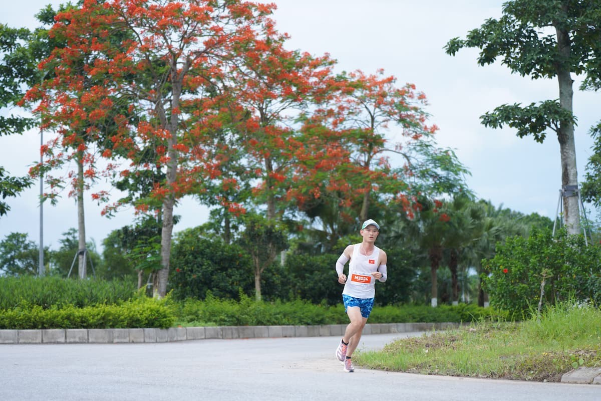 manh-chay-hoa-phuong