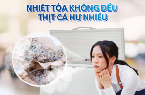 LỰA MẶT THÌ MỚI GỬI VÀNG - LỰA TỦ TRỮ HÀNG, CHỌN MUA HÒA PHÁT!