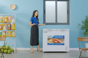 Tủ đông Hòa Phát 205 Lít HPF BD6205: Đông - mát linh hoạt, giữ trọn chất lượng