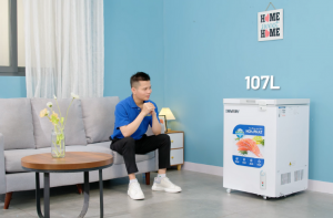 Tủ đông gia đình Hòa Phát HPF AN6107: Nhỏ gọn tiện nghi, công nghệ ưu việt