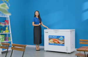 Tủ đông Hòa Phát 252 lít HPF AN6252: Bảo quản tối ưu, đông sâu tròn vị