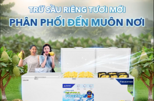 TRỮ SẦU RIÊNG TƯƠI MỚI - PHÂN PHỐI ĐẾN MUÔN NƠI