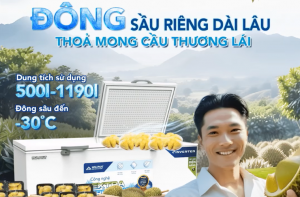 ĐÔNG SẦU RIÊNG DÀI LÂU - THOẢ MONG CẦU THƯƠNG LÁI