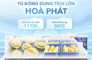 TỦ ĐÔNG HÒA PHÁT - DUNG TÍCH SIÊU TO SẦU RIÊNG ĐẦY KHO - KHÔNG LO TÍCH TRỮ