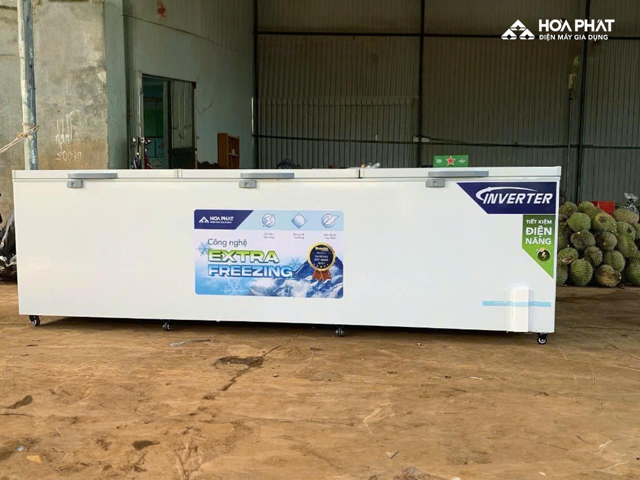 Tủ đông Hòa Phát: Người bạn đồng hành đáng tin cậy của bà con Tây Nguyên trong mùa sầu riêng